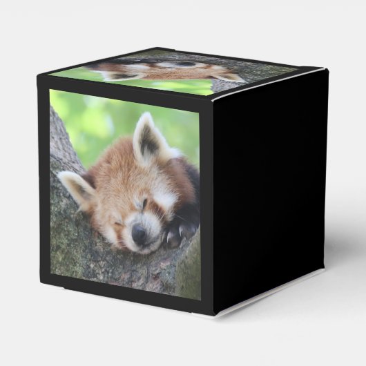 RedPanda20150705.jpg Geschenkschachtel (Rückseite)