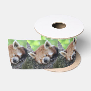 RedPanda20150705.jpg Satinband