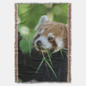 RedPanda 002 Decke (Vorderseite Vertikal)