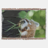 RedPanda 002 Decke (Vorderseite)