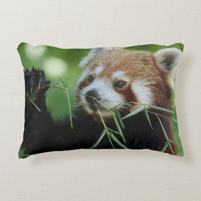 RedPanda 002 Dekokissen (Vorderseite)