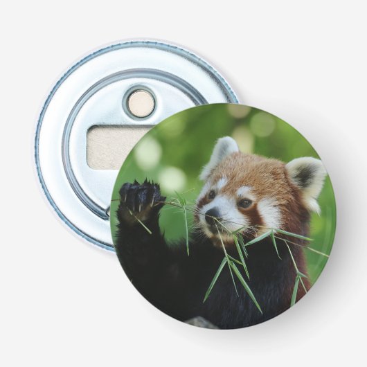 RedPanda 002 Flaschenöffner (Vorderseite)