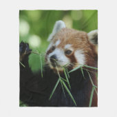 RedPanda 002 Fleecedecke (Vorderseite)