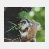 RedPanda 002 Fleecedecke (Vorderseite (Horizontal))