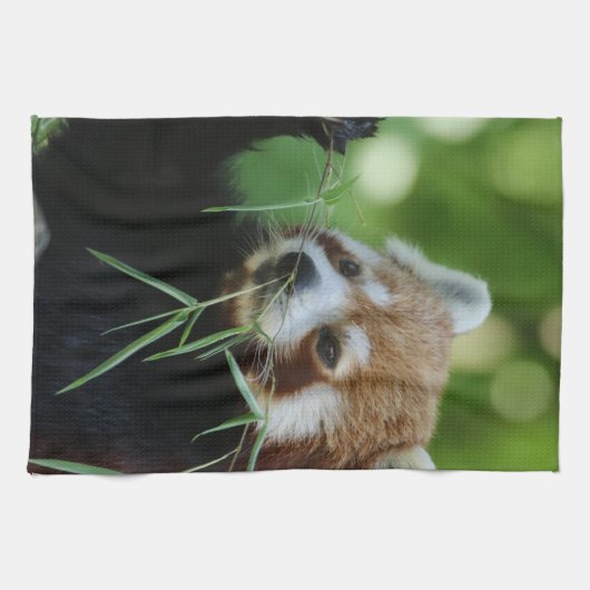 RedPanda 002 Geschirrtuch (Horizontal)