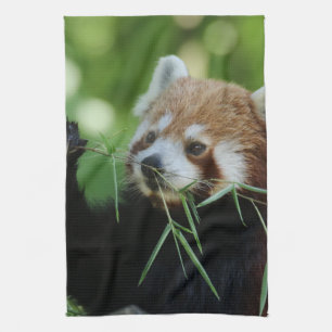 RedPanda 002 Geschirrtuch