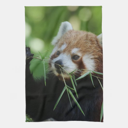 RedPanda 002 Geschirrtuch (Vertikal)