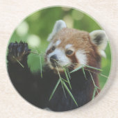 RedPanda 002 Getränkeuntersetzer (Vorne)