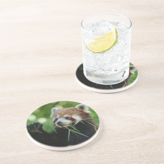 RedPanda 002 Getränkeuntersetzer (Seite)