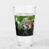 RedPanda 002 Glas (Rückseite)
