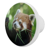 RedPanda 002 Keramikknauf (Rechts)