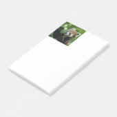RedPanda 002 Post-it Klebezettel (angewinkelt)