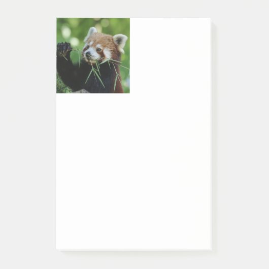 RedPanda 002 Post-it Klebezettel (Vorderseite)