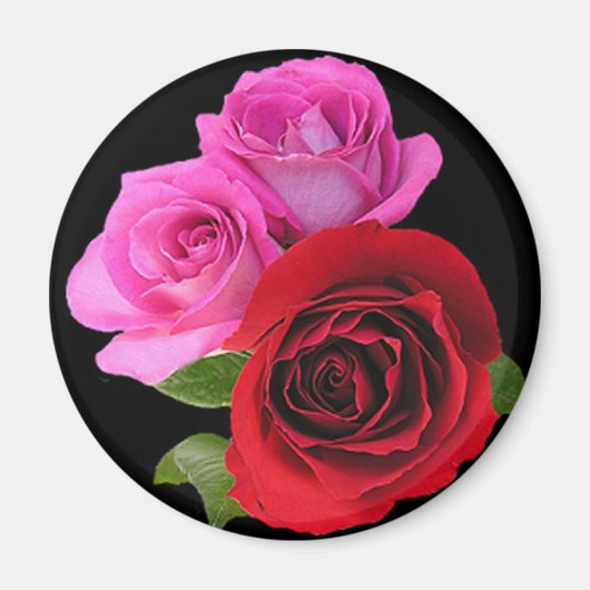 RedPinkTonedRoses2 Magnet (Vorne)