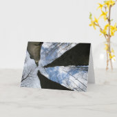 REDREAMING:SIEHE NACH KARTE (Gelbe Blume)