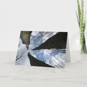 REDREAMING:SIEHE NACH OBEN KARTE