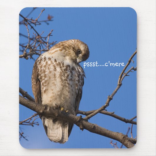 Redtail-Mäuseschutz Mousepad (Vorne)