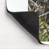 Redtailed Falke Mousepad (Ecke)