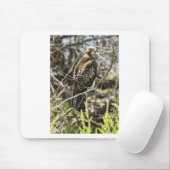 Redtailed Falke Mousepad (Mit Mouse)