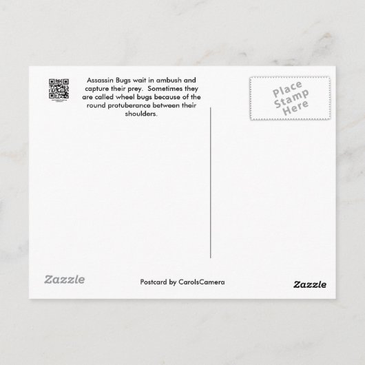 Reduviid Assassin Bug Postcard Postkarte (Rückseite)