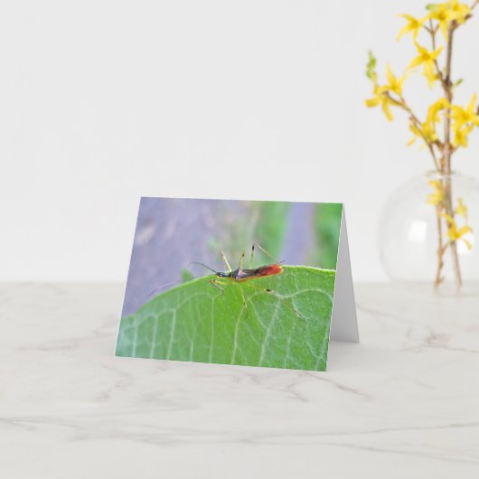 Reduviid Red Assassin Bug Note Card Karte (Gelbe Blume)