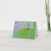 Reduviid Red Assassin Bug Note Card Karte (Vorderseite)