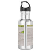 Reduzierung der Plastikverschmutzung Edelstahlflasche (Rückseite)