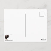 Reduzierung der Plastikverschmutzung Postkarte (Rückseite)