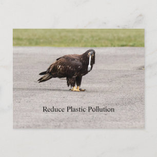 Reduzierung der Plastikverschmutzung Postkarte