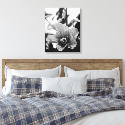 Redvein Abutilon Blume Schwarz-Weiß-Fotografie Leinwanddruck (Insitu (Schlafzimmer))