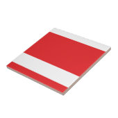 RedWhite Keramik Tile Fliese (Seite)