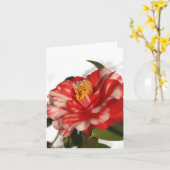 redwhitecam karte (Gelbe Blume)
