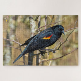 Redwing Blackbird Puzzle