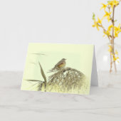 REDWING GREETING CARD KARTE (Gelbe Blume)