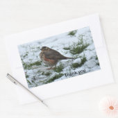 Redwing Rechteckiger Aufkleber (Umschlag)