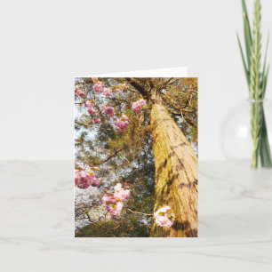 Redwood and Cherry Blossom Card Feiertagskarte