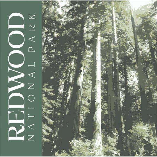 Redwood-Aufkleber, Nationalpark Decal Aufkleber (Vorderseite)