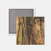 Redwood Bark Foto Texture Magnet (Vorderseite/Rückseite)