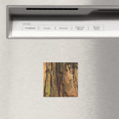 Redwood Bark Foto Texture Magnet (In Situ (Geschirrspüler))