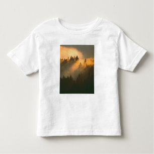 Redwood-Bäume in Küstennebel, Marin-Landkreis, Kleinkind T-shirt