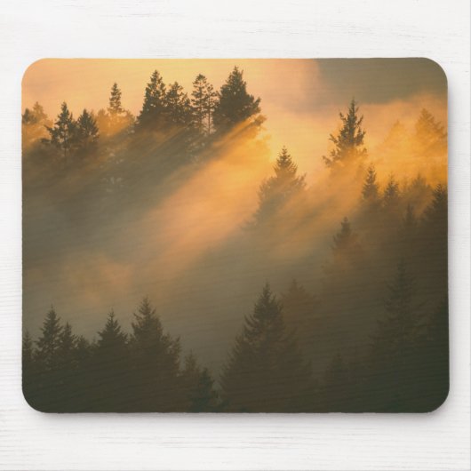 Redwood-Bäume in Küstennebel, Marin-Landkreis, Mousepad (Vorne)
