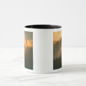 Redwood-Bäume in Küstennebel, Marin-Landkreis, Tasse (Zentrum)