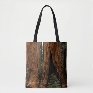 Redwood-Bäume, Sequoia-Nationalpark Tasche