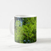 Redwood Boughs im Redwood National Park Kaffeetasse (Vorderseite Links)
