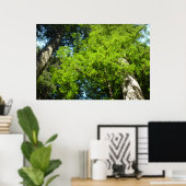 Redwood Boughs im Redwood National Park Poster (Heimbüro)