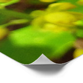 Redwood Butterfly und Wildblumen Poster (Ecke)