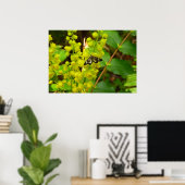 Redwood Butterfly und Wildblumen Poster (Heimbüro)