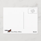 Redwood Butterfly und Wildblumen Postkarte (Rückseite)