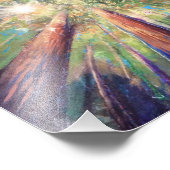 Redwood Canopy Fotodruck (Ecke)