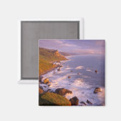 Redwood Coast, Kalifornien Magnet (Vorderseite/Rückseite)
